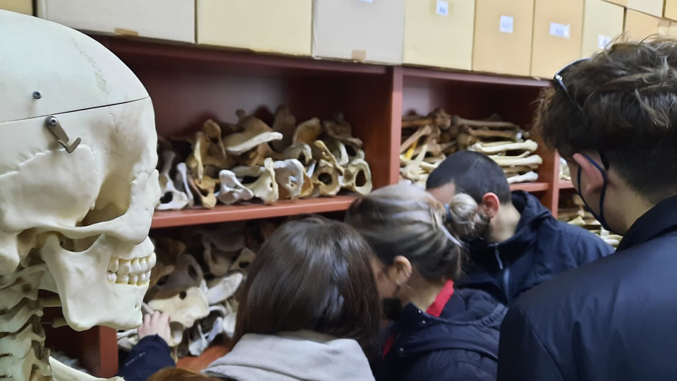 CITY College Psychology students visit the Forensics Anatomy Lab of Aristotle University of Thessaloniki