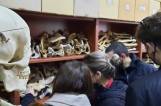 Psychology students visit the Forensics Anatomy Lab of Aristotle University of Thessaloniki