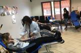Blood Donation Heroes at CITY College